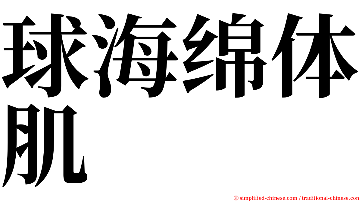 球海绵体肌 serif font