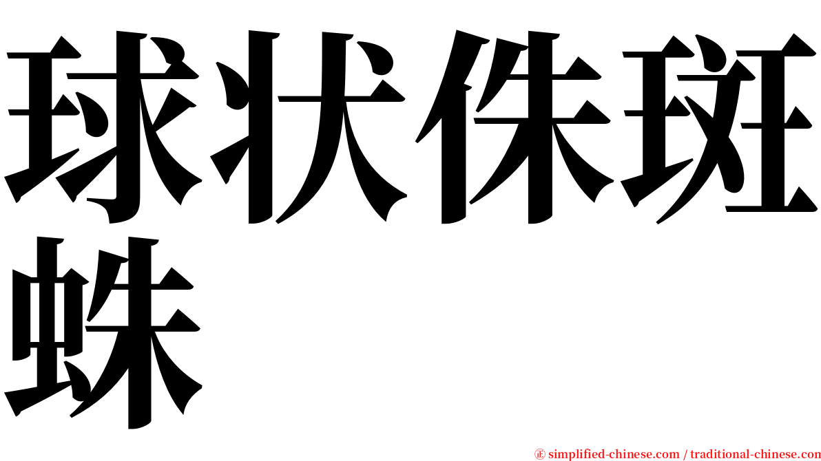 球状侏斑蛛 serif font