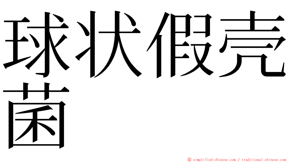球状假壳菌 ming font
