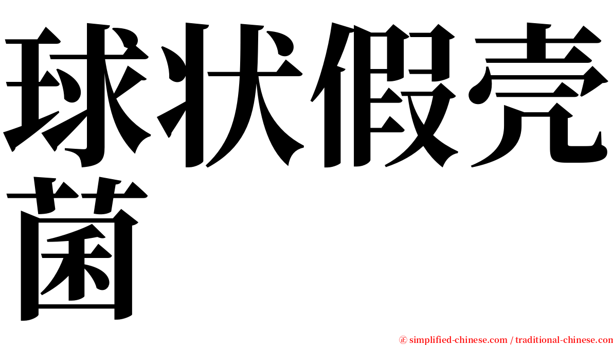 球状假壳菌 serif font