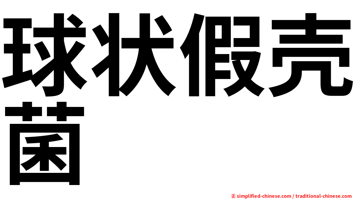 球状假壳菌