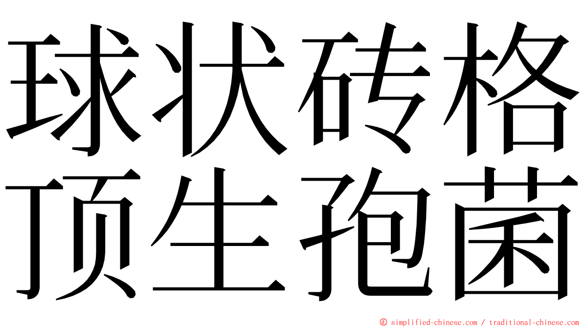 球状砖格顶生孢菌 ming font