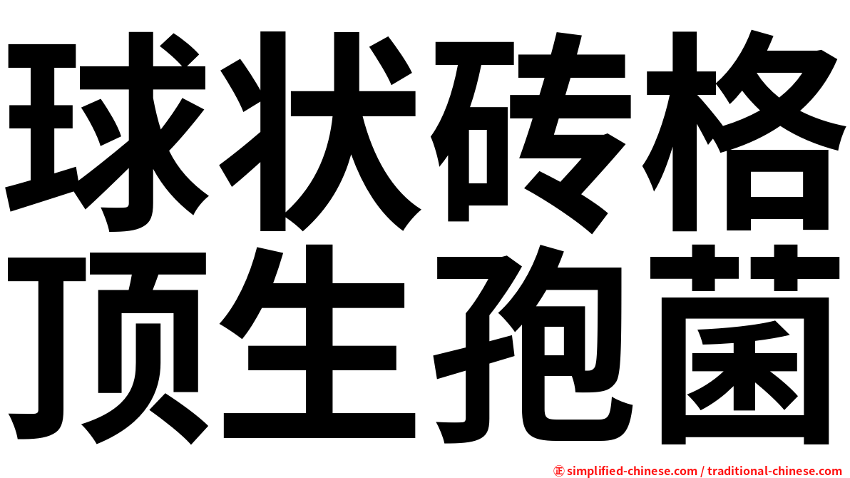 球状砖格顶生孢菌