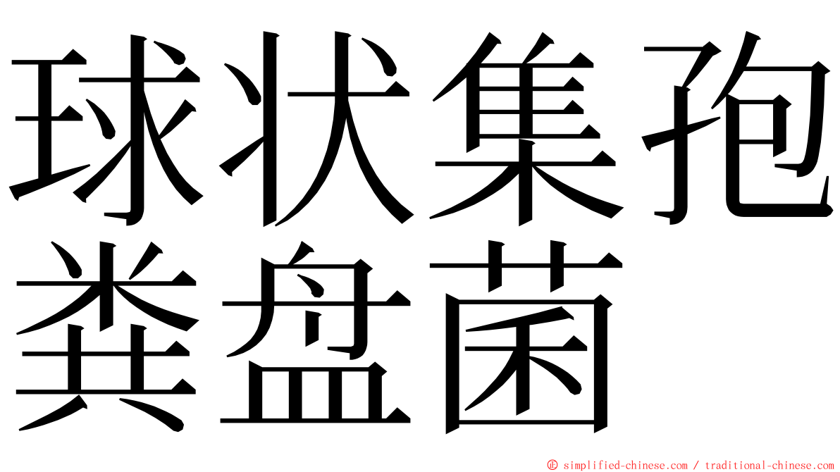 球状集孢粪盘菌 ming font