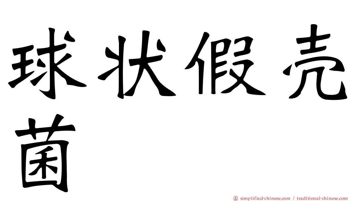 球状假壳菌