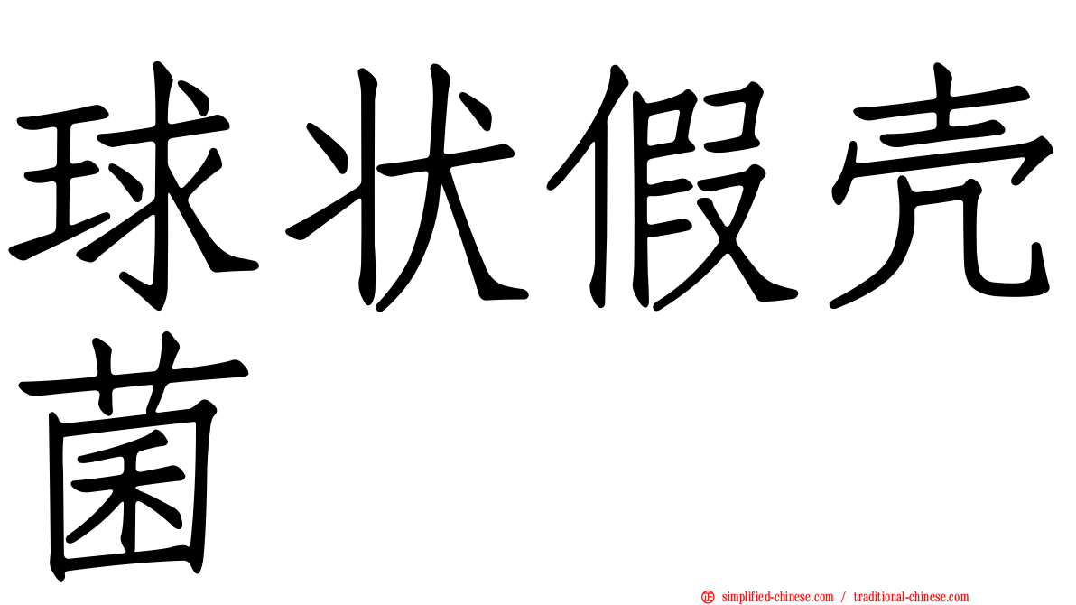 球状假壳菌