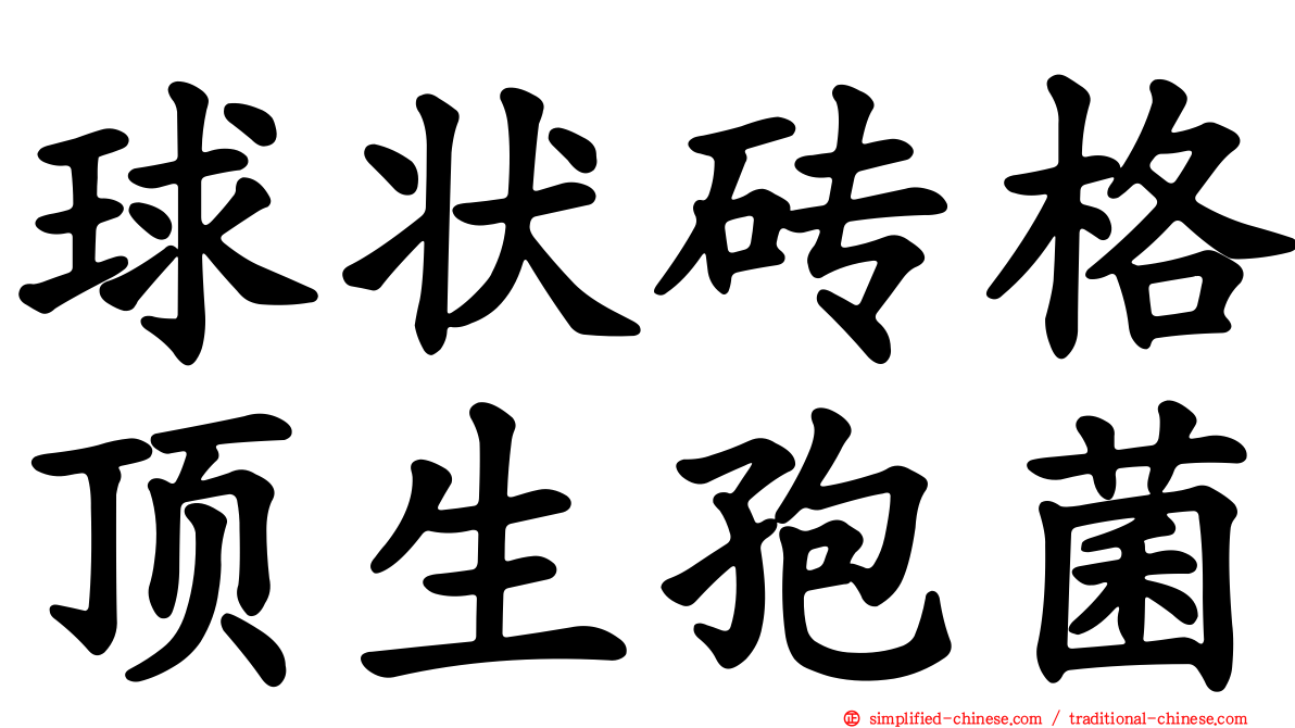 球状砖格顶生孢菌