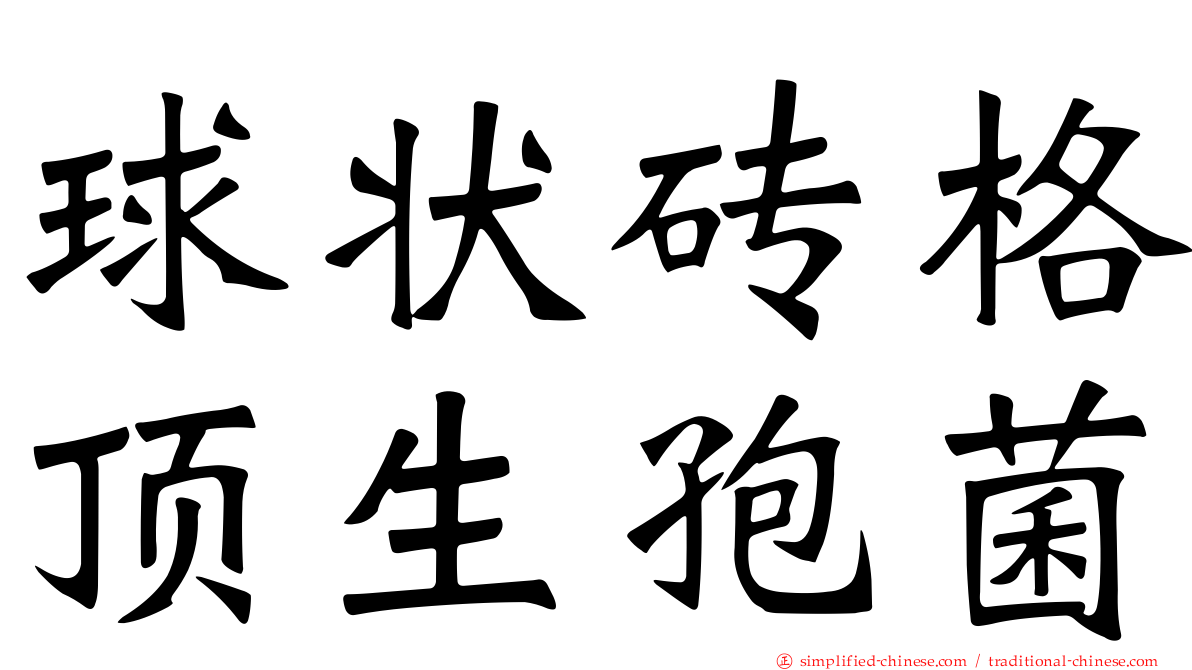 球状砖格顶生孢菌