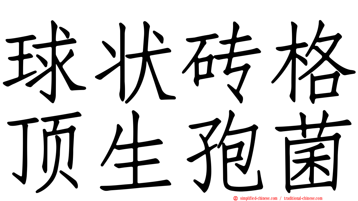 球状砖格顶生孢菌
