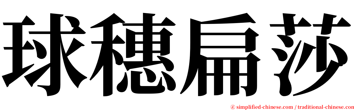 球穗扁莎 serif font