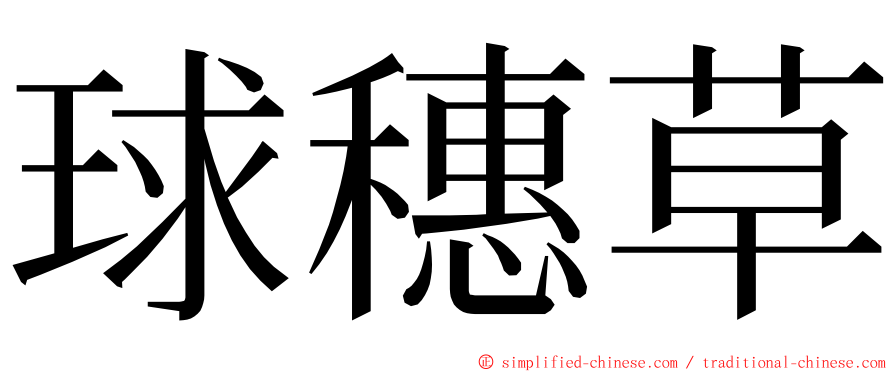 球穗草 ming font