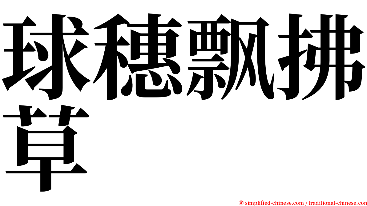 球穗飘拂草 serif font