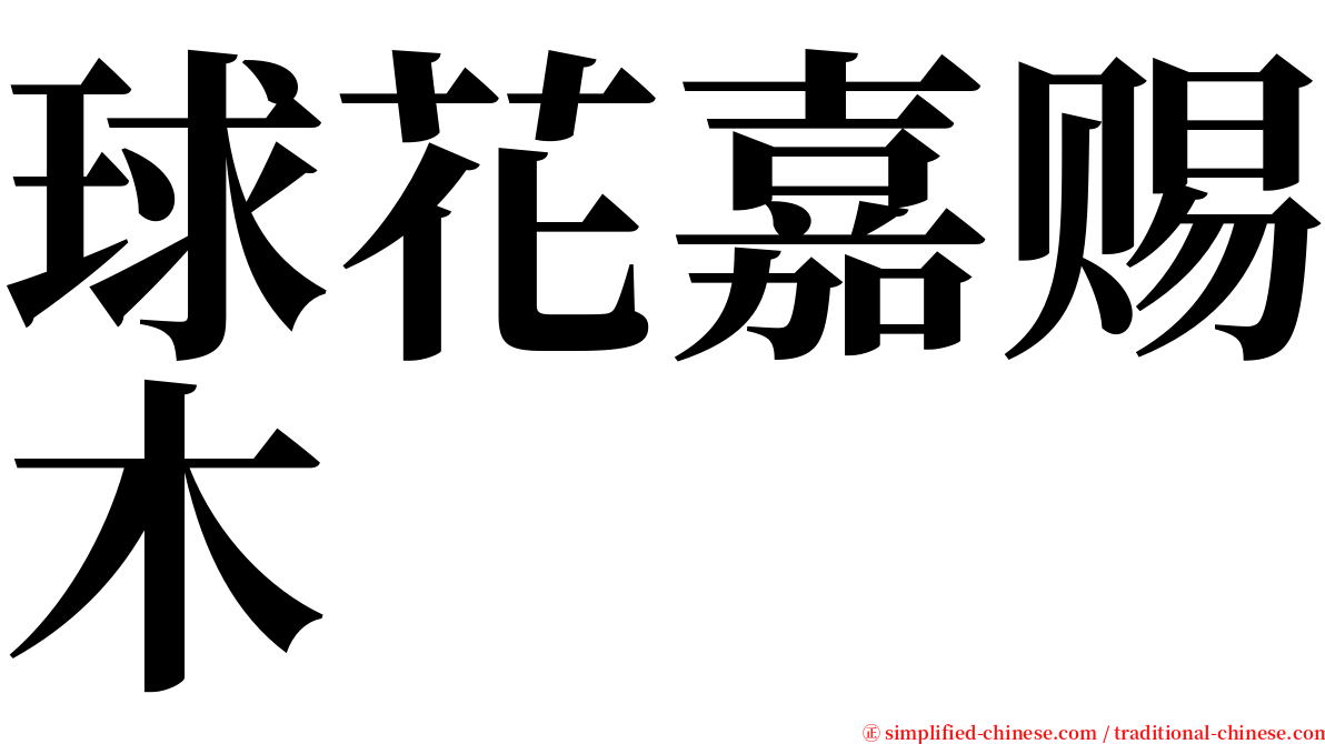 球花嘉赐木 serif font