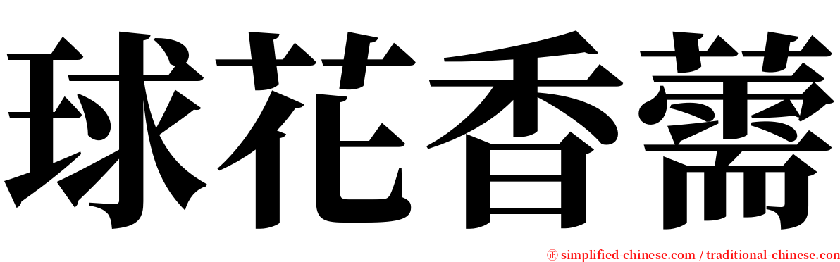 球花香薷 serif font