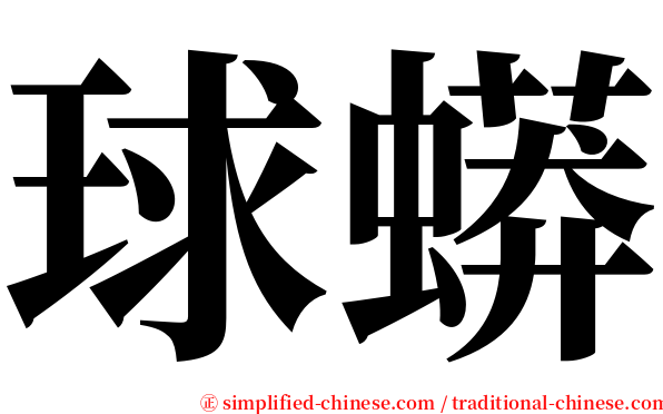 球蟒 serif font