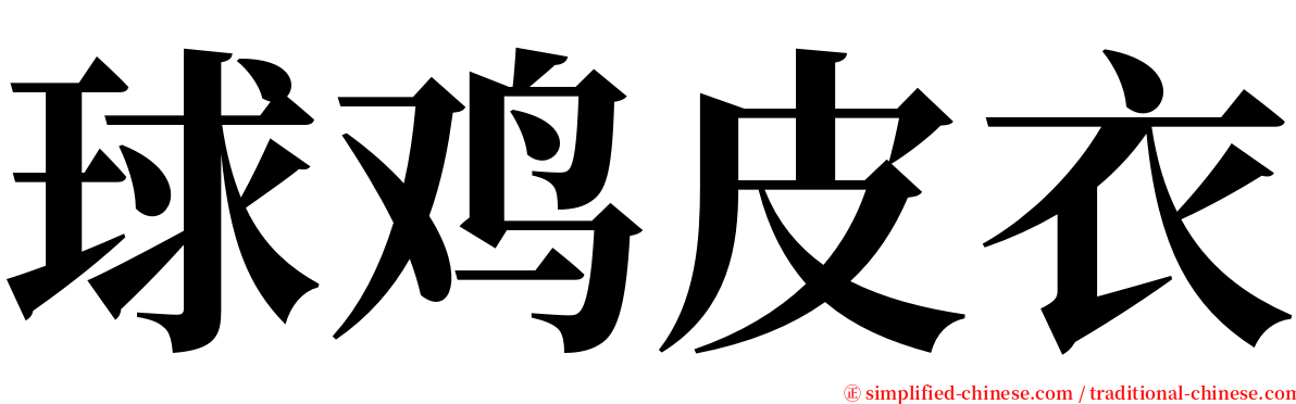 球鸡皮衣 serif font