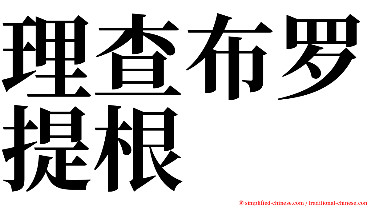 理查布罗提根 serif font