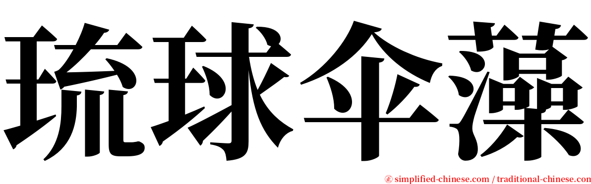 琉球伞藻 serif font