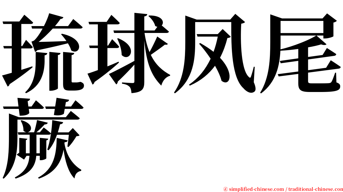 琉球凤尾蕨 serif font