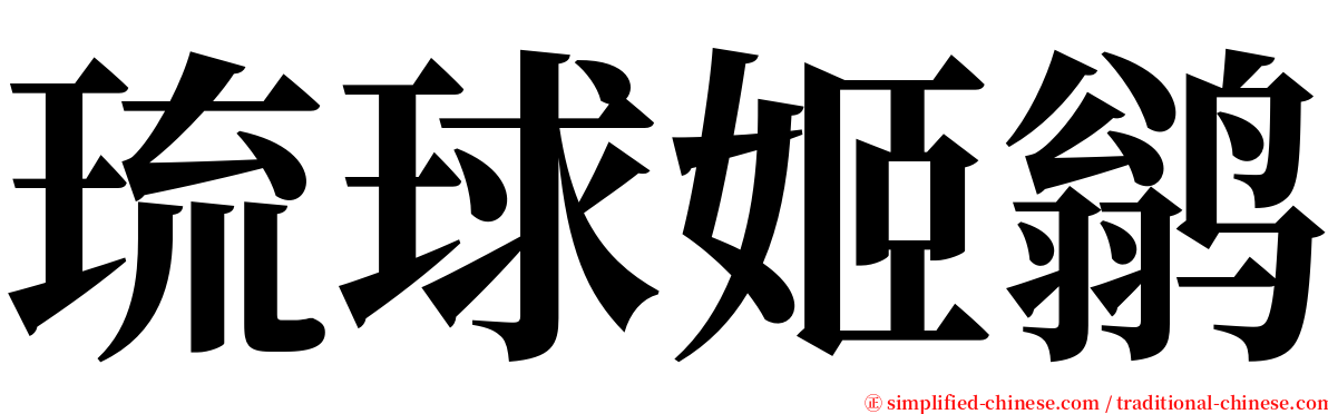 琉球姬鹟 serif font