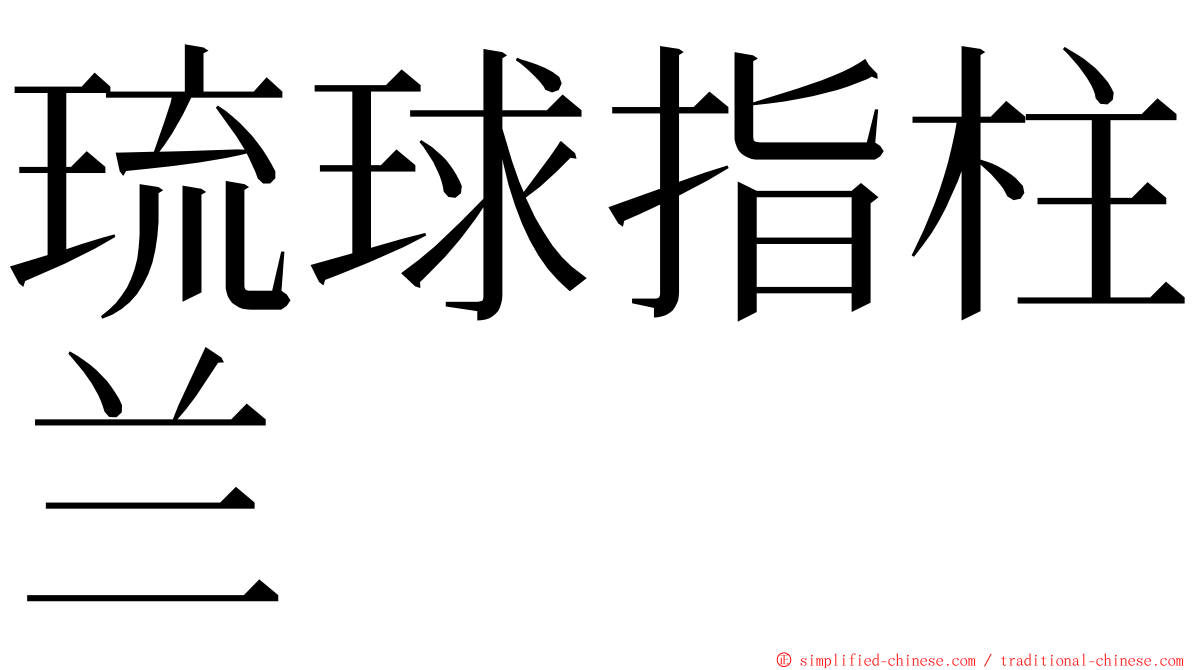 琉球指柱兰 ming font