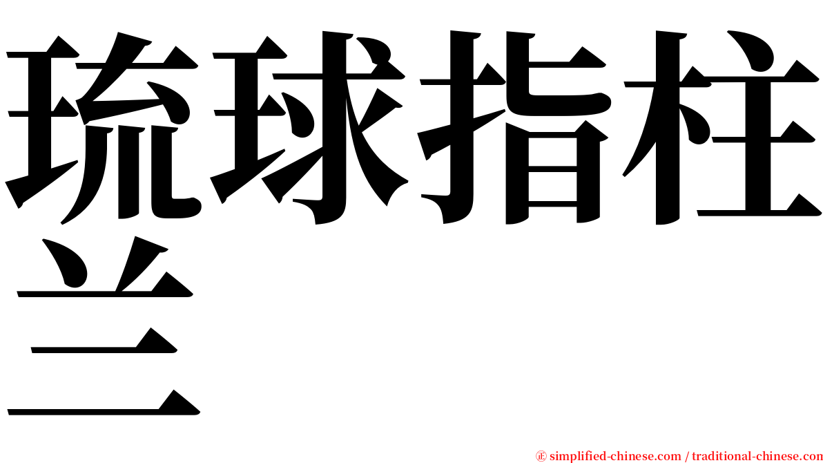 琉球指柱兰 serif font