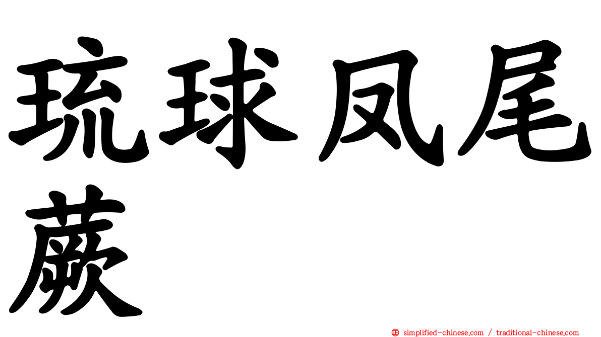 琉球凤尾蕨