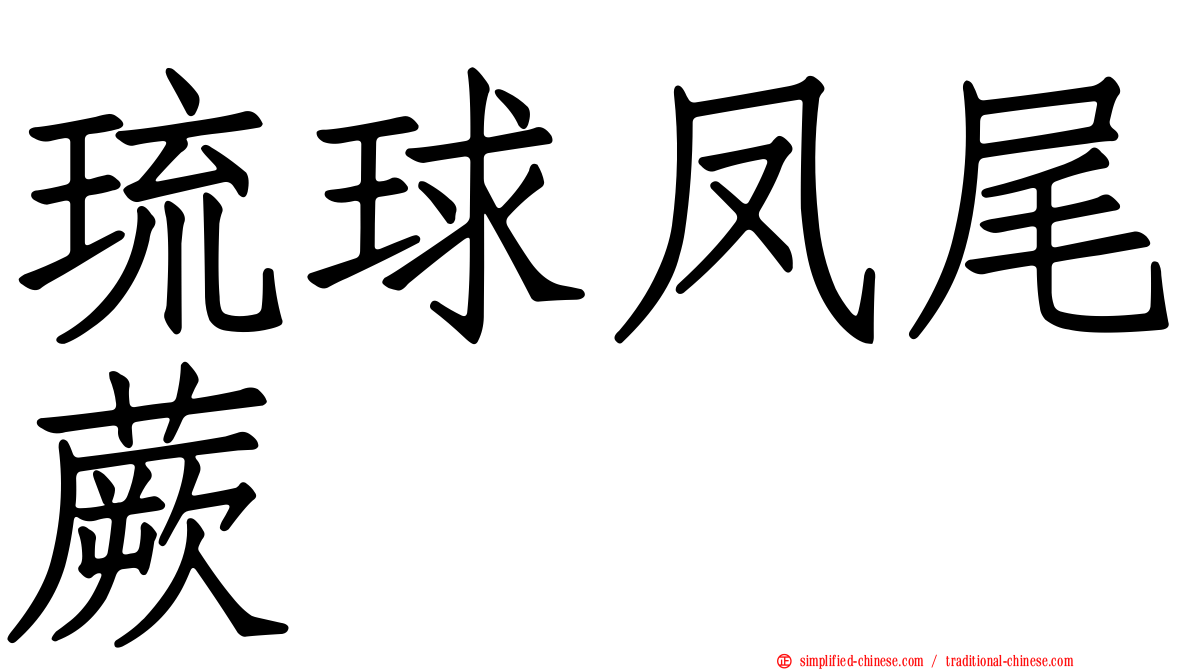 琉球凤尾蕨