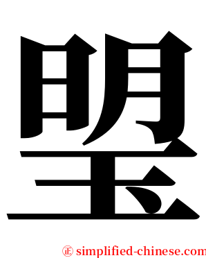 琞 serif font