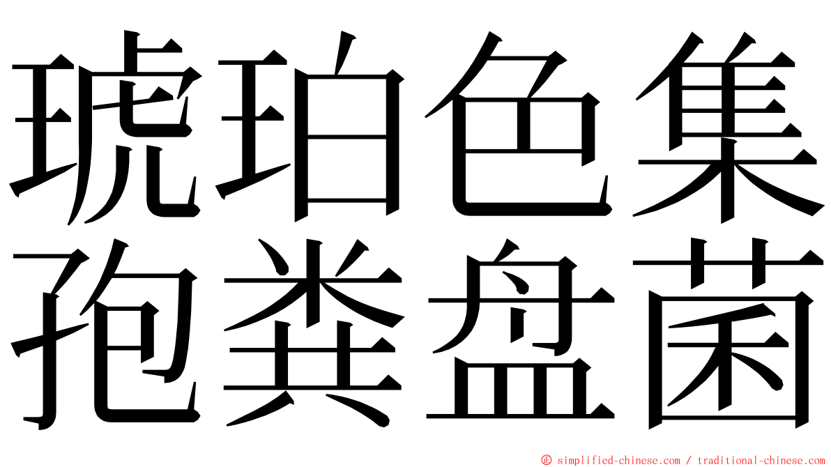 琥珀色集孢粪盘菌 ming font