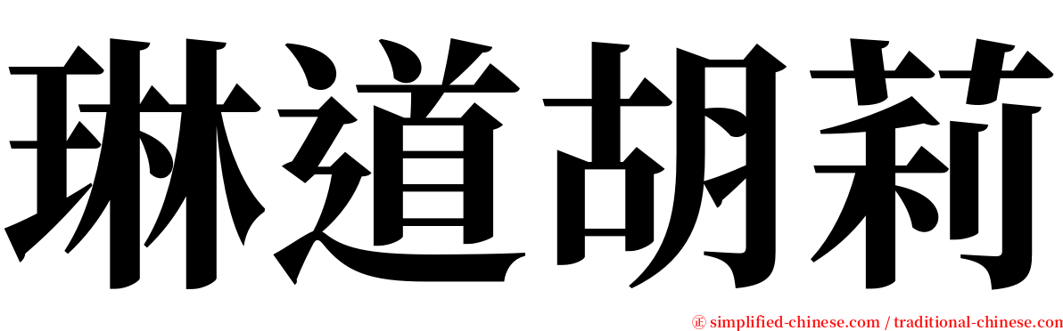 琳道胡莉 serif font