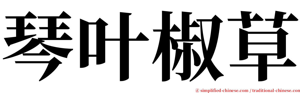 琴叶椒草 serif font