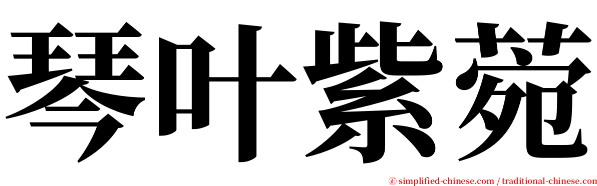 琴叶紫菀 serif font