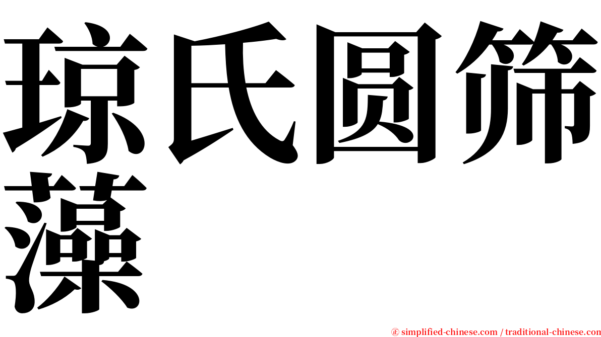 琼氏圆筛藻 serif font