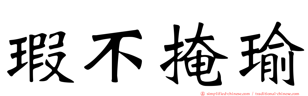 瑕不掩瑜