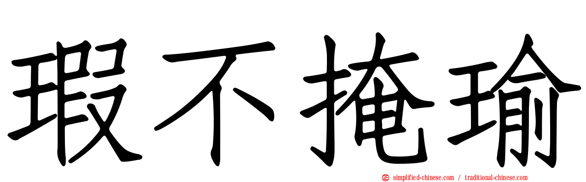 瑕不掩瑜