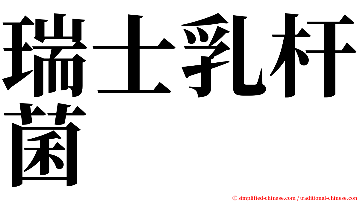 瑞士乳杆菌 serif font