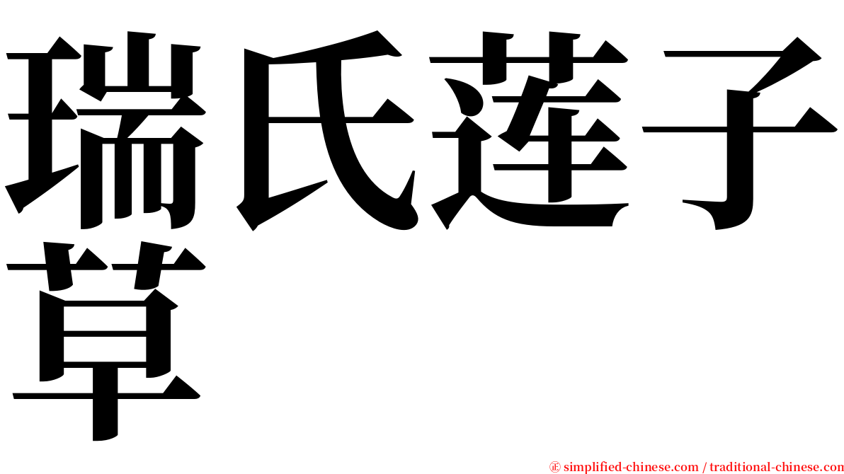 瑞氏莲子草 serif font