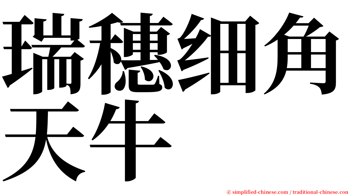 瑞穗细角天牛 serif font