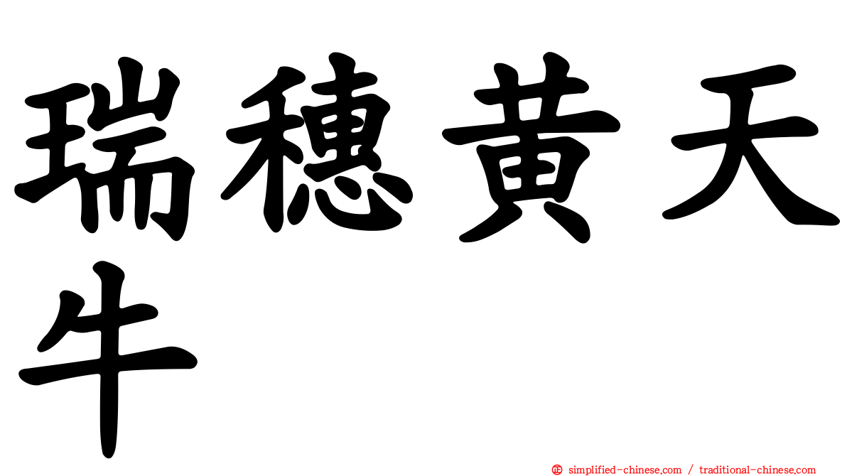 瑞穗黄天牛