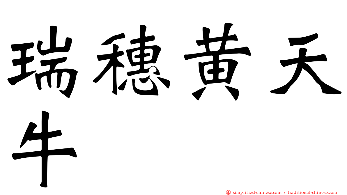 瑞穗黄天牛