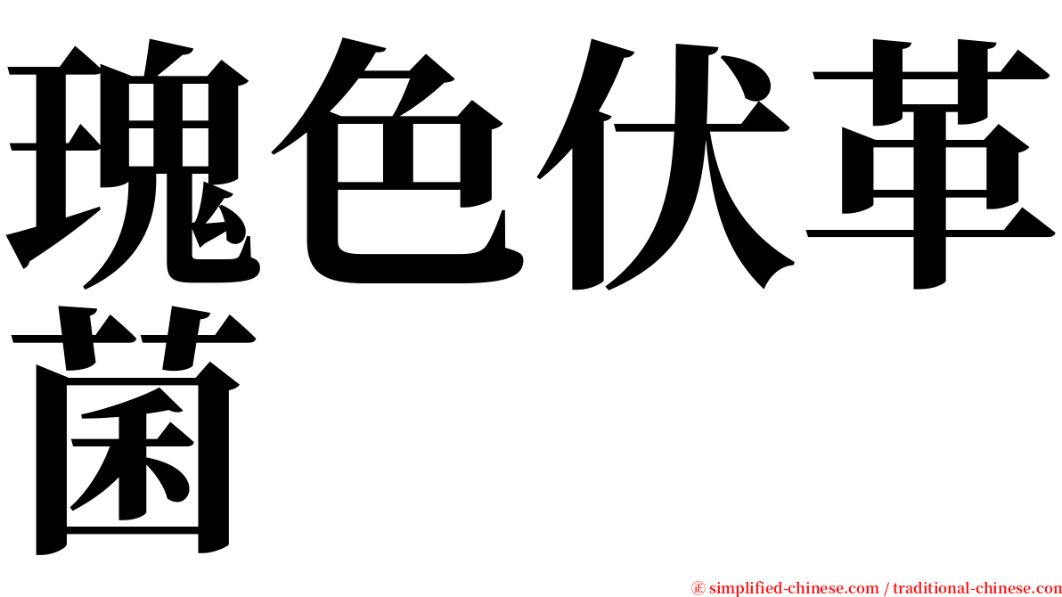 瑰色伏革菌 serif font