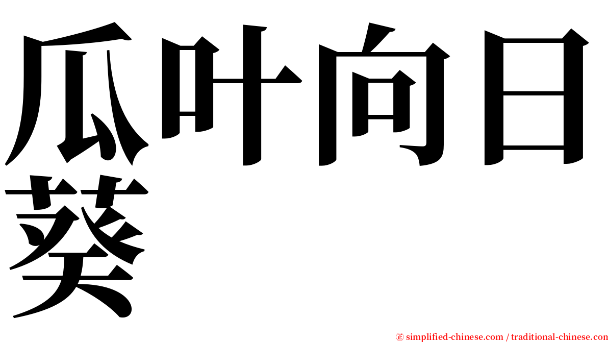 瓜叶向日葵 serif font