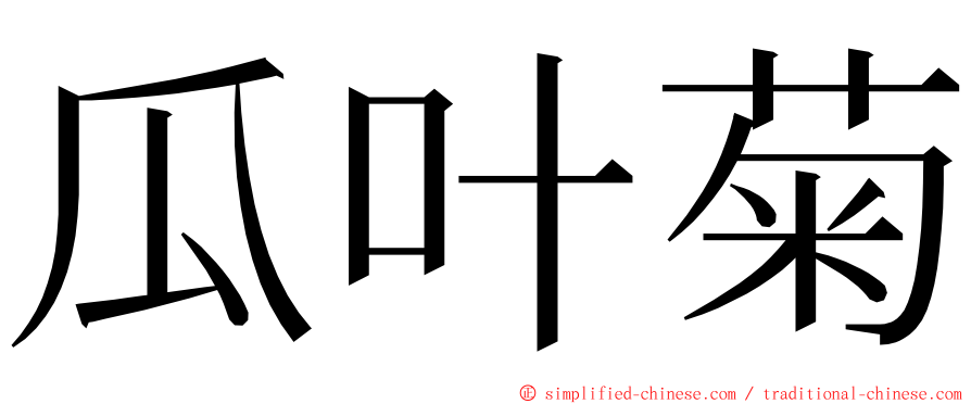 瓜叶菊 ming font