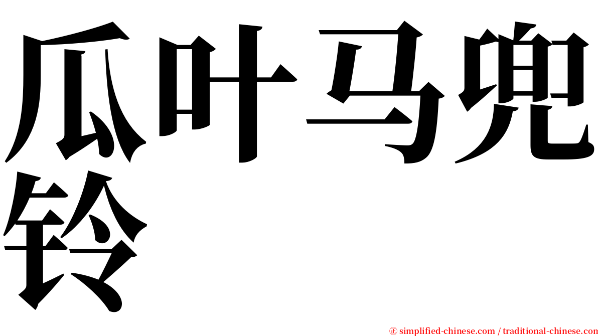 瓜叶马兜铃 serif font