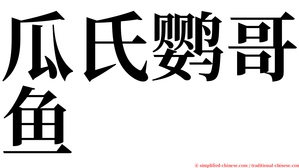 瓜氏鹦哥鱼 serif font