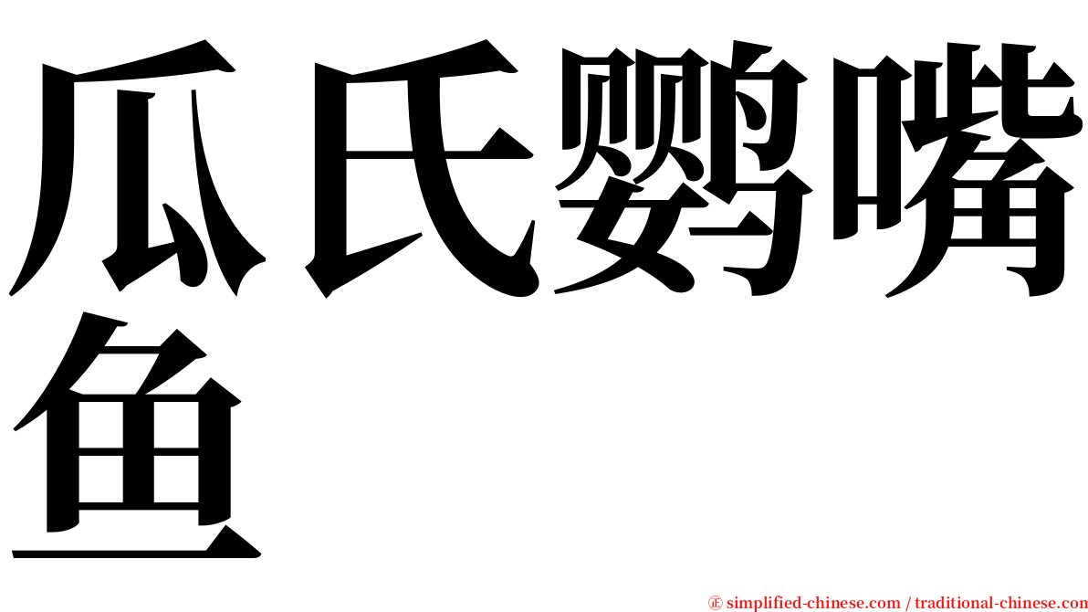 瓜氏鹦嘴鱼 serif font