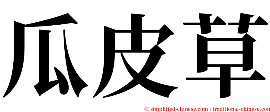 瓜皮草 serif font