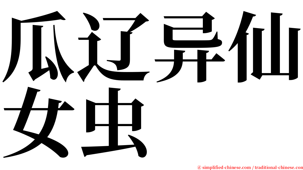 瓜辽异仙女虫 serif font