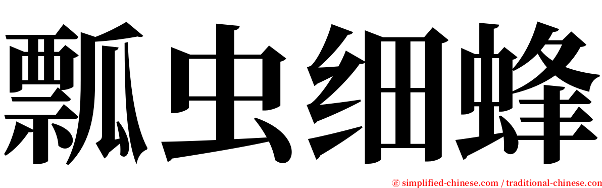 瓢虫细蜂 serif font